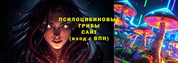 сатива Абдулино